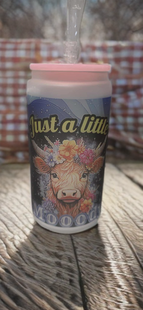 Just a Little Moody Frosted Glass Tumbler